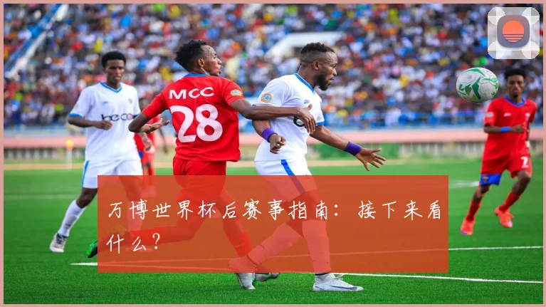 万博世界杯后赛事指南:接下来看什么?