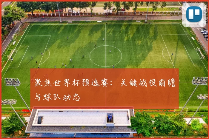 聚焦世界杯预选赛：关键战役前瞻与球队动态