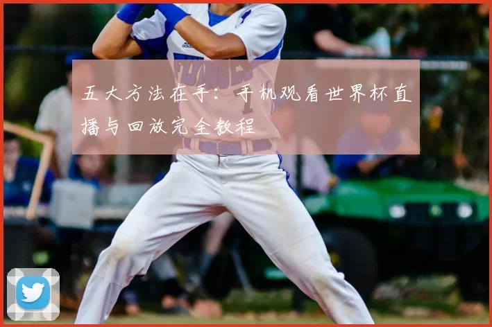 五大方法在手：手机观看世界杯直播与回放完全教程