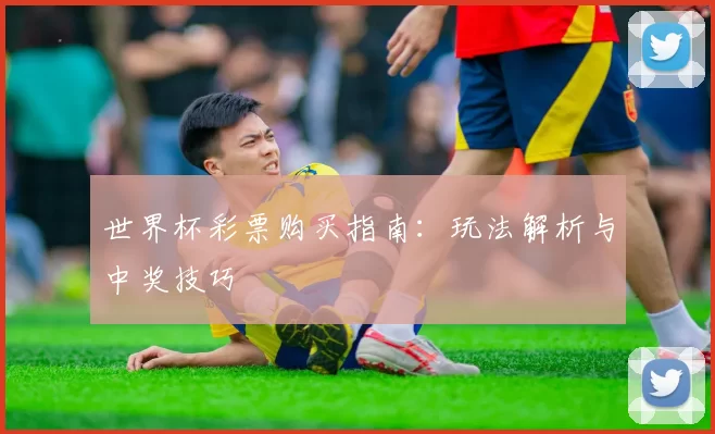世界杯彩票购买指南：玩法解析与中奖技巧