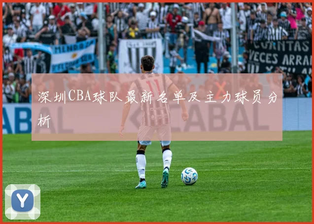 深圳CBA球队最新名单及主力球员分析