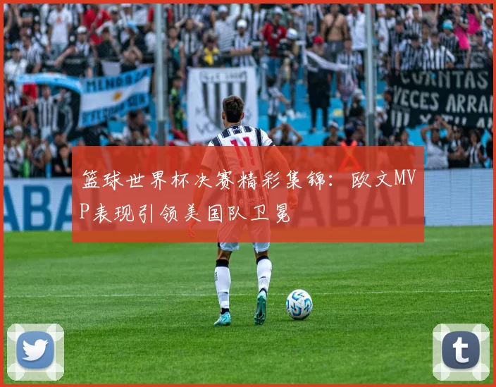 篮球世界杯决赛精彩集锦：欧文MVP表现引领美国队卫冕