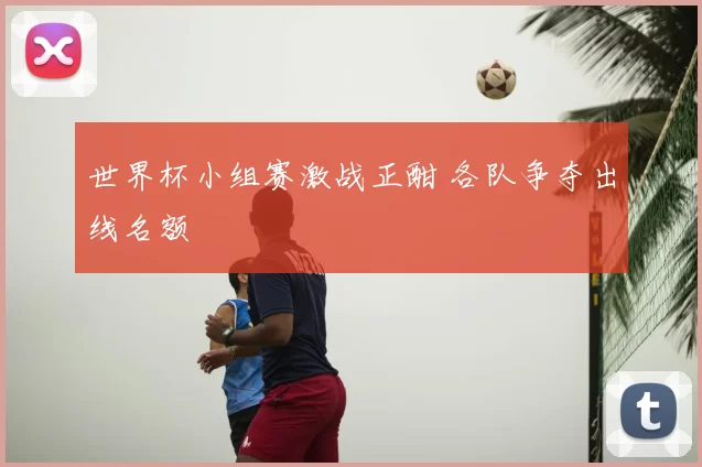 世界杯小组赛激战正酣 各队争夺出线名额