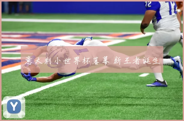 意大利小世界杯落幕 新王者诞生