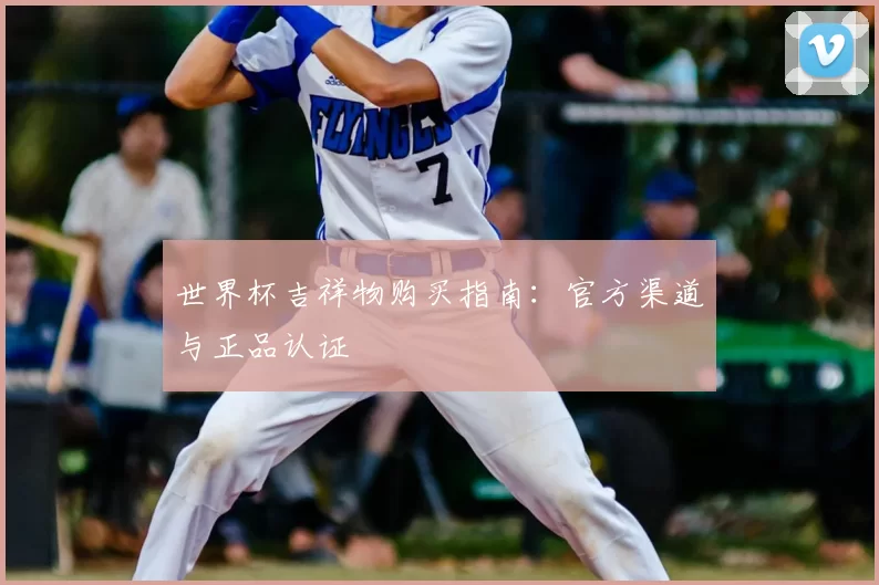 世界杯吉祥物购买指南：官方渠道与正品认证