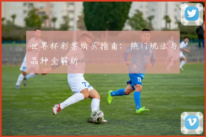 世界杯彩票购买指南：热门玩法与品种全解析