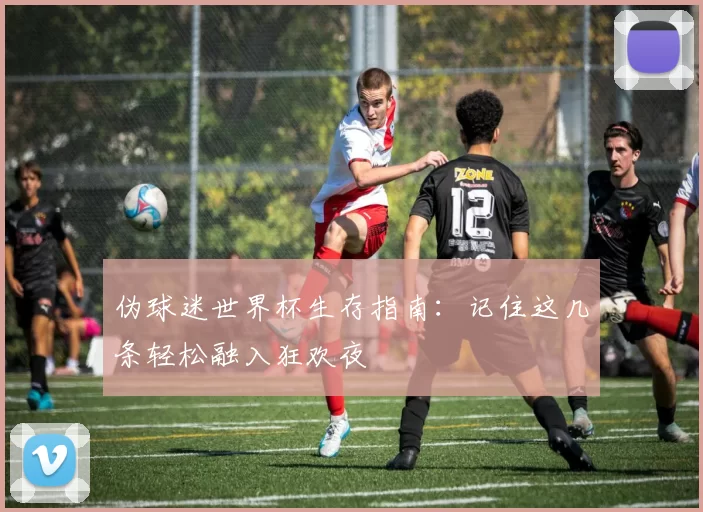伪球迷世界杯生存指南:记住这几条轻松融入狂欢夜