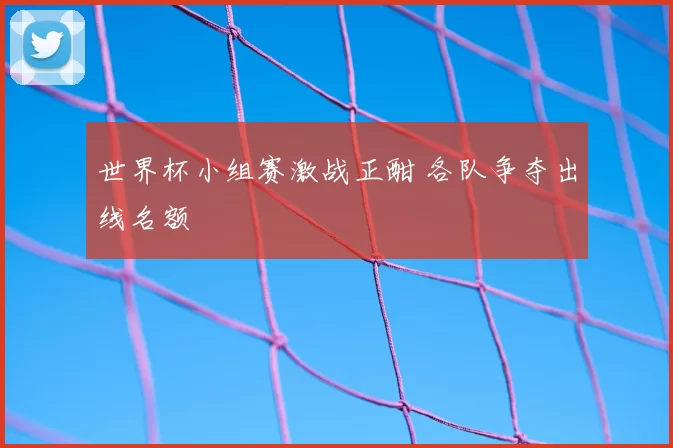 世界杯小组赛激战正酣 各队争夺出线名额